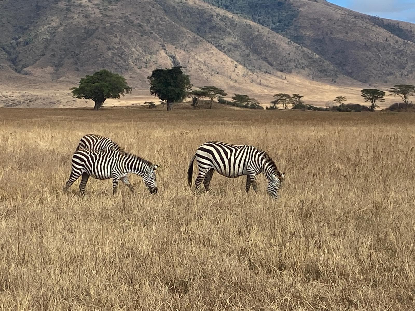 Luxury hot air balloon safari over Serengeti National Park