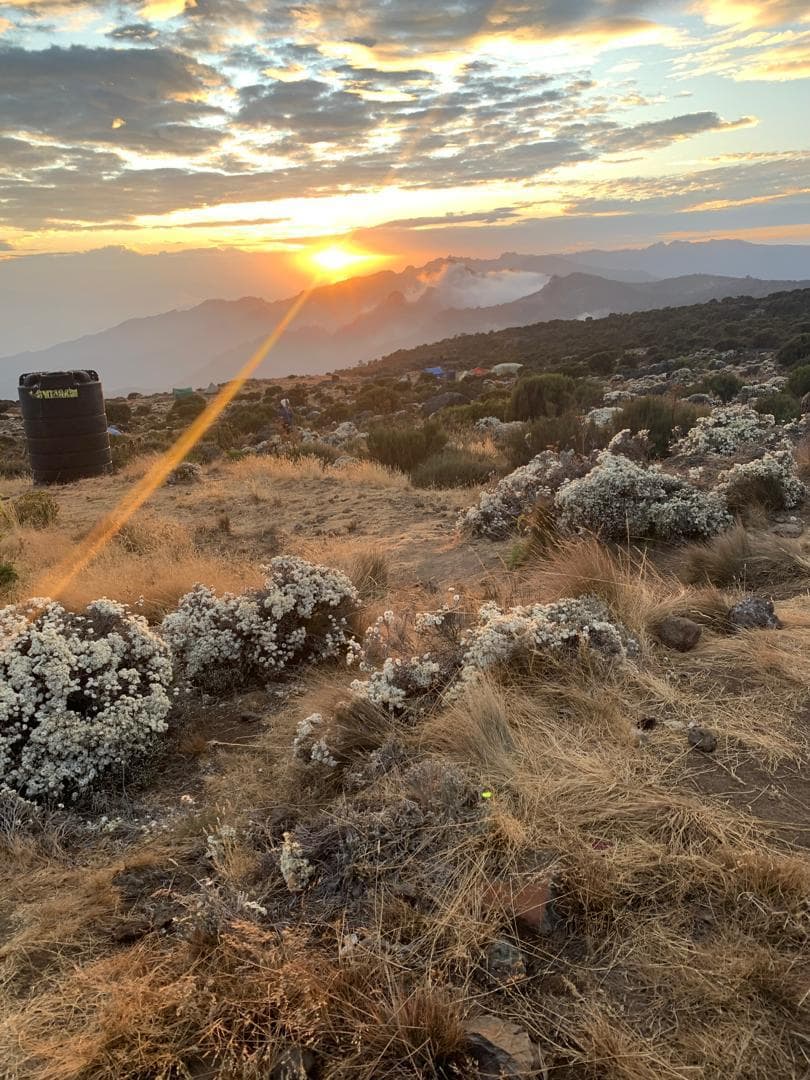 Ruta Umbwe — Parque nacional del Kilimanjaro, Tanzania — 6 días