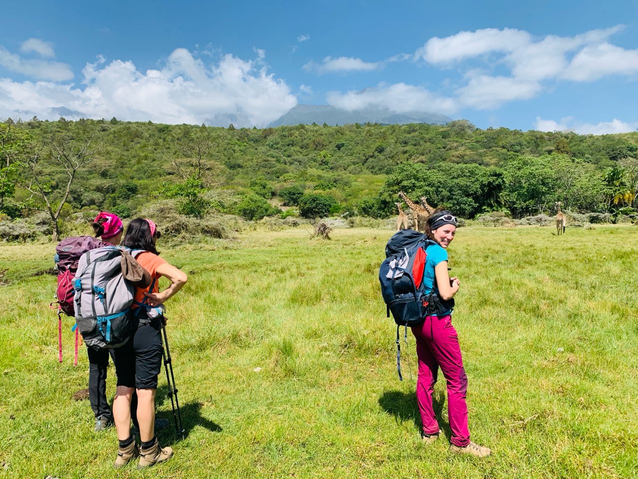 Mount Meru Trek