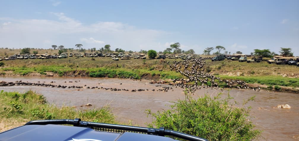 Safari Vehicle